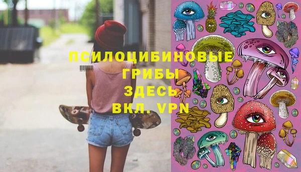 соль ск Аркадак