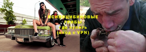 дживик Армянск