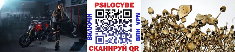 Галлюциногенные грибы мухоморы продажа наркотиков Старица